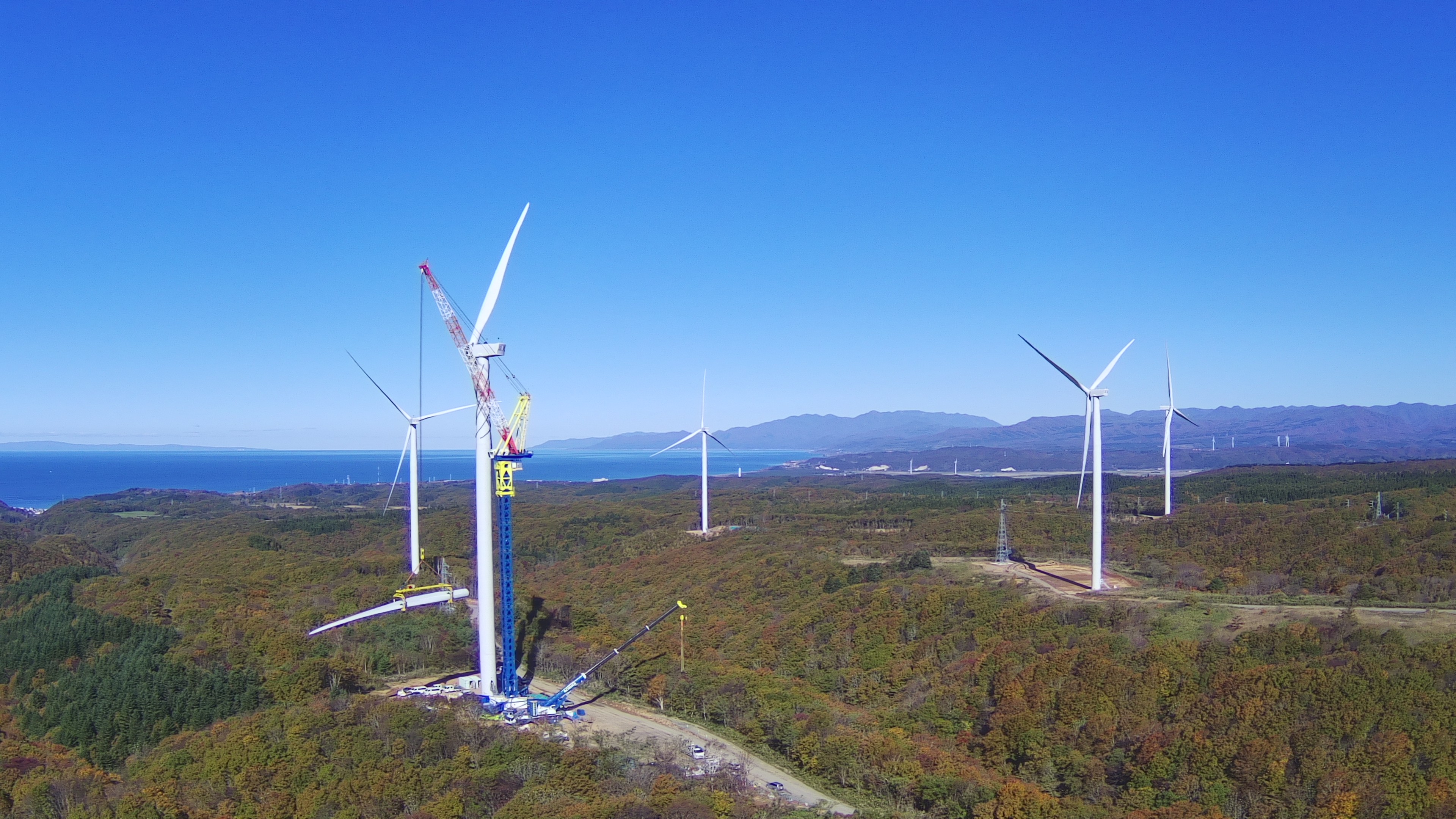 アチハ株式会社 大阪本社の正社員 配送以外の職種の求人情報イメージ3